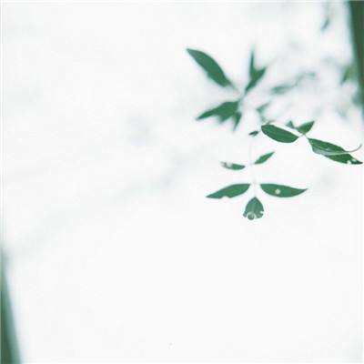 泡沫饮料游戏下载
